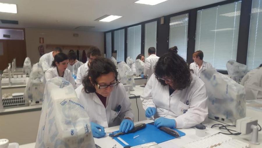 Investigadores no taller de necropisa de peixes, en Veterinaria