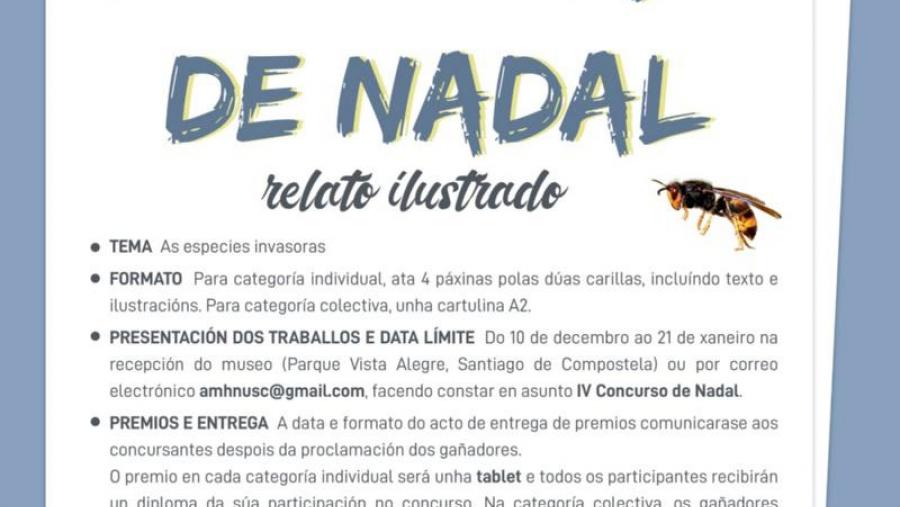 IV Concurso de Nadal e obradoiros no Museo de Historia Natural da USC 