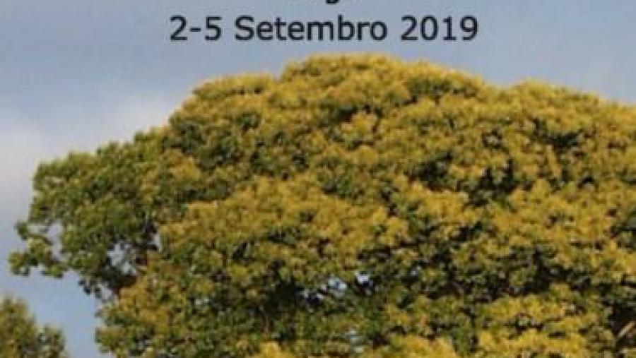 Cartaz do curso