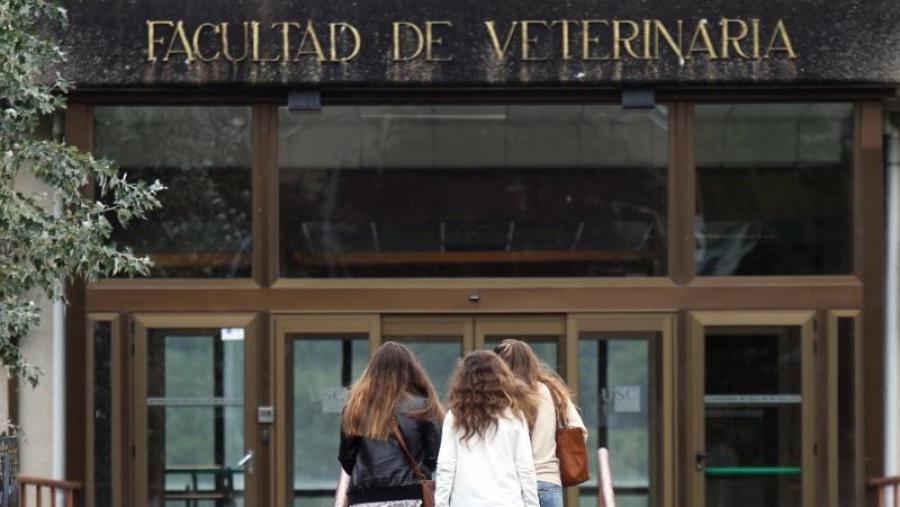 A USC ofrece en Veterinaria un curso de introdución ao galego para facilitar a integración do alumnado foráneo