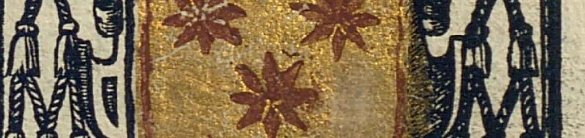 Image of a university collection